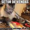 🐒 Pra mandar no trabalho 21