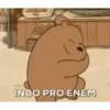 ENEM 17