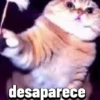 desaparece