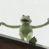 🐸 RANA RENÉ MOODS 🐸 10