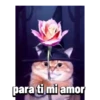para ti mi amor