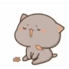 LUCU LUCU KUCING 10
