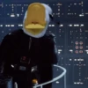 Pato Gifs 🦆 15