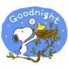 Snoopy 🐾🦴🏠🐾 15