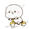 Duck 29