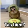 Tas bien?