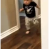 Baby Pack 6
