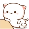 Mochi Peach cat 9 10