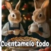 Animalitos Animados Random 🐇🐿 10