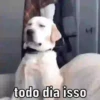Já vai surtar 🤦🏻‍♂️ 13