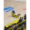 Fenerbahçe Yellow 19
