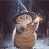 Wizard Cat 9
