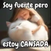 Funny random para contestar 😁💬 7