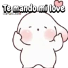 Conejo contesta tu chat 🐰📱💬 10