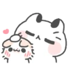 Cute cat 5