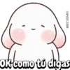 Conejo contesta tu chat 🐰📱💬 15