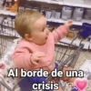 Al borde de una crisis Vira
