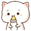 Mochi Peach cat 9 18