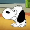 Snoopy 🏠🌈 (sticker.fan) 18