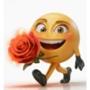 Rose Delivery
