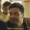 Mirzapur 8