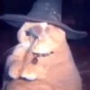 🎃 Halloween 👻 🔥 8