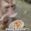 🐒 Pra mandar no trabalho 29