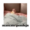 Bebes para tu chat 🚼🤰 13