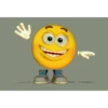 MACAM2 EMOTICON 5
