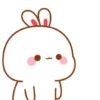 RABBITTTT  14