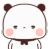 Panda couple 16