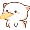 Mochi CAT  14