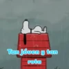 ⋆𐙚 🐾 Snoopy contesta ੯‧̀͡⬮ 23