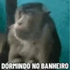 🐒 Pra mandar no trabalho 18