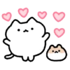 Cute cat 8
