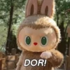DOR!