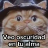 😻Gato Mago 🪄 Halloween 🎃 17