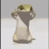 Lagarto 🦎 6