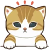 Kucing Gemoy #2 12