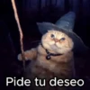 😻Gato Mago 🪄 Halloween 🎃 7