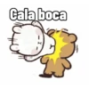 CALA A SUA BOCA 🤐 13