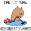 🚀 Boa Segunda-Feira! 11