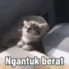 Ngantuk berat