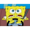 Memes  13