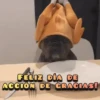 Acción de Gracias🦃Thanksgiving 14