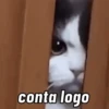 conta logo
