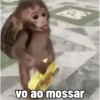 🐒 Pra mandar no trabalho 27