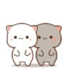 Mochi CAT LOVE 💘 AMOR ❤️ 10