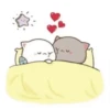 Kiss Cat 25