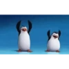 Los pinguinos de Madagascar 8
